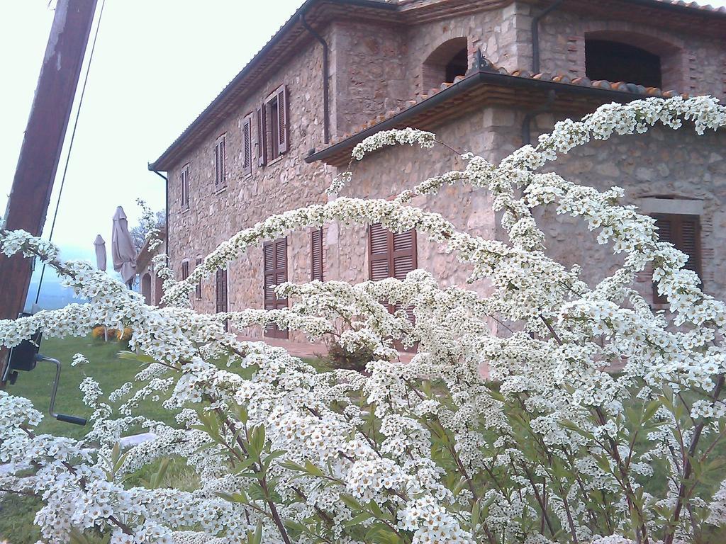 Agriturismo Il Poggiolo Montemerano Exterior foto